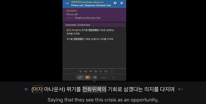 Interacting with Subtitles in LR with the LR Extension