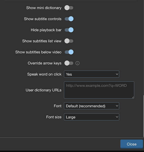 Current Version of the User Dictionary Input Box in LR Settings LR Extension