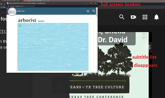 LLY fullscreen broken