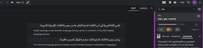 arabic text